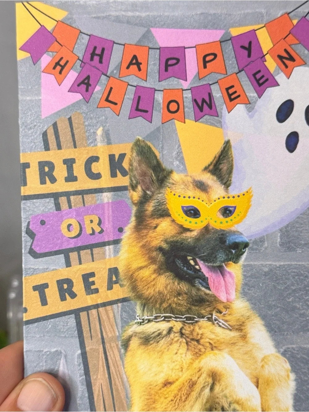 German Shepherd Halloween Greeting Cards Trick or Treat Blank Inside Set of 10